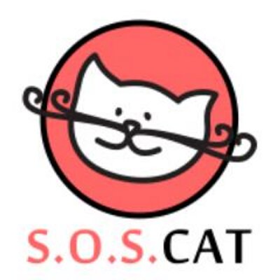 SOS cat